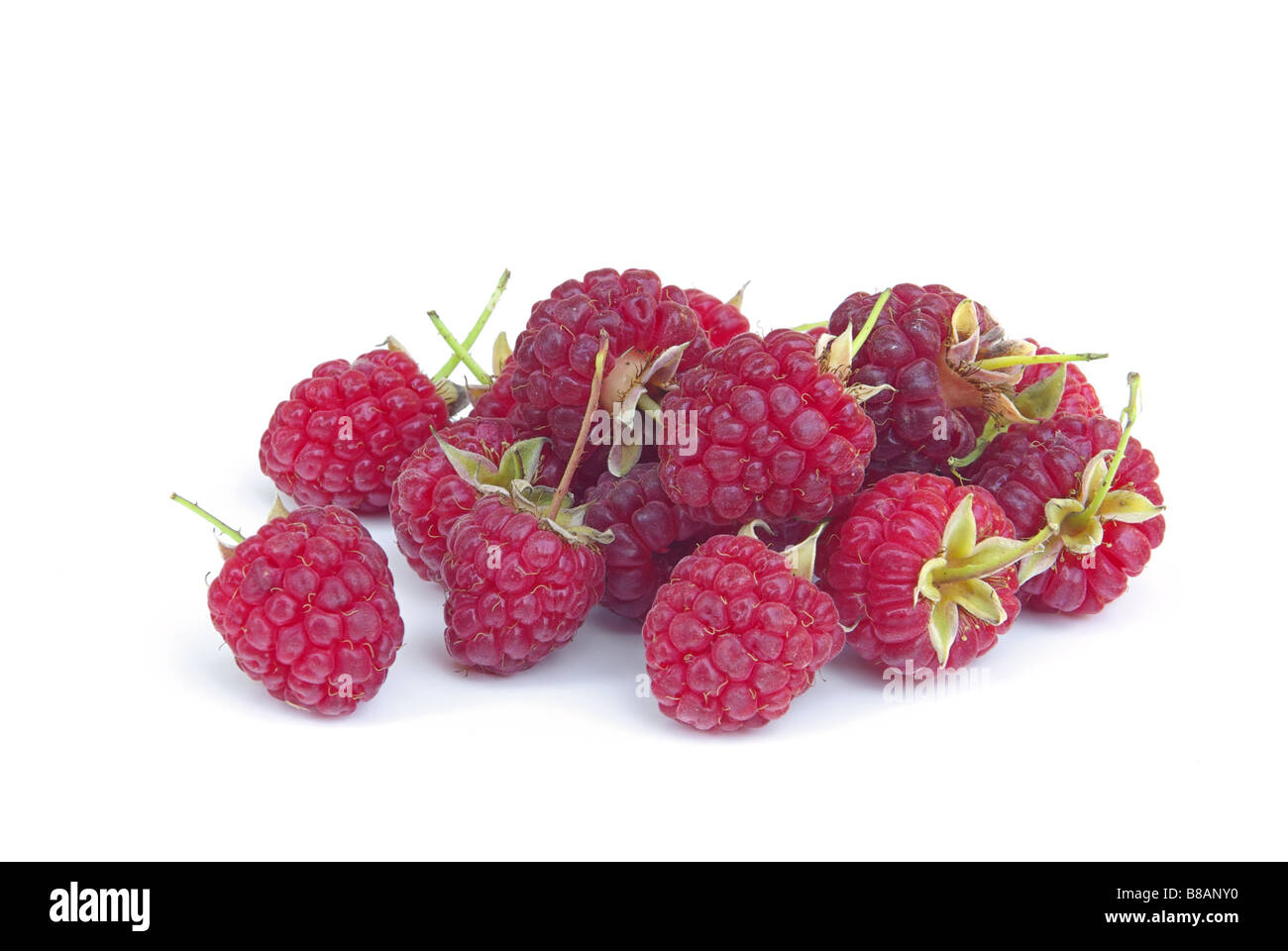Himbeere Himbeeren 16 Stockfoto