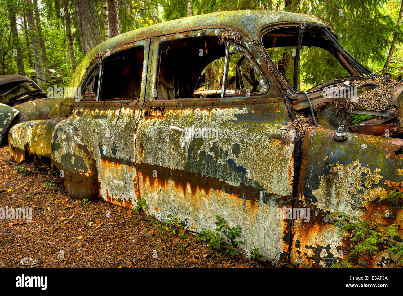 Auto-Friedhof Stockfoto