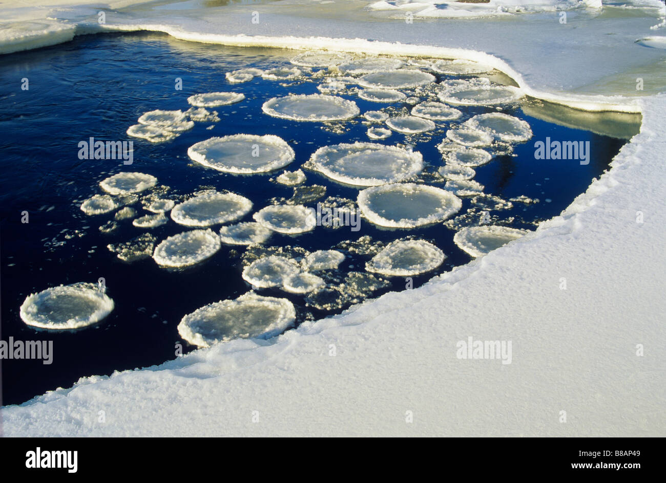 Pfannkuchen Sie-Eis, Whiteshell Provincial Park, Manitoba Stockfoto