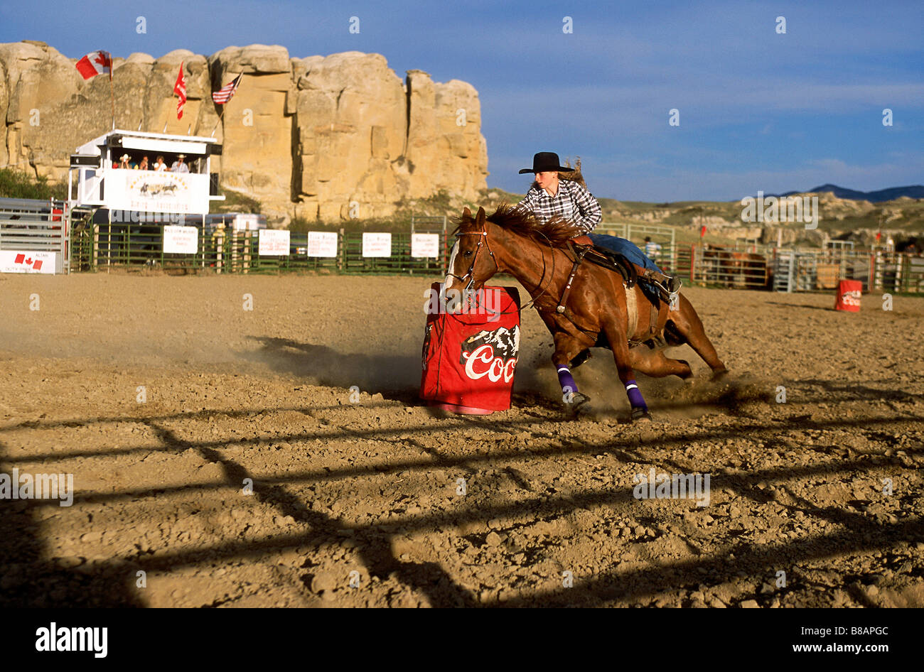 Damen-Barrel Racing, Pro Rodeo, Schreiben von Stein, Alberta Stockfoto