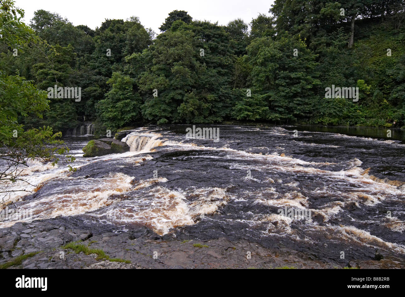 Aysgarth Herbst nach starken Regenfällen Hochwasser Stockfoto