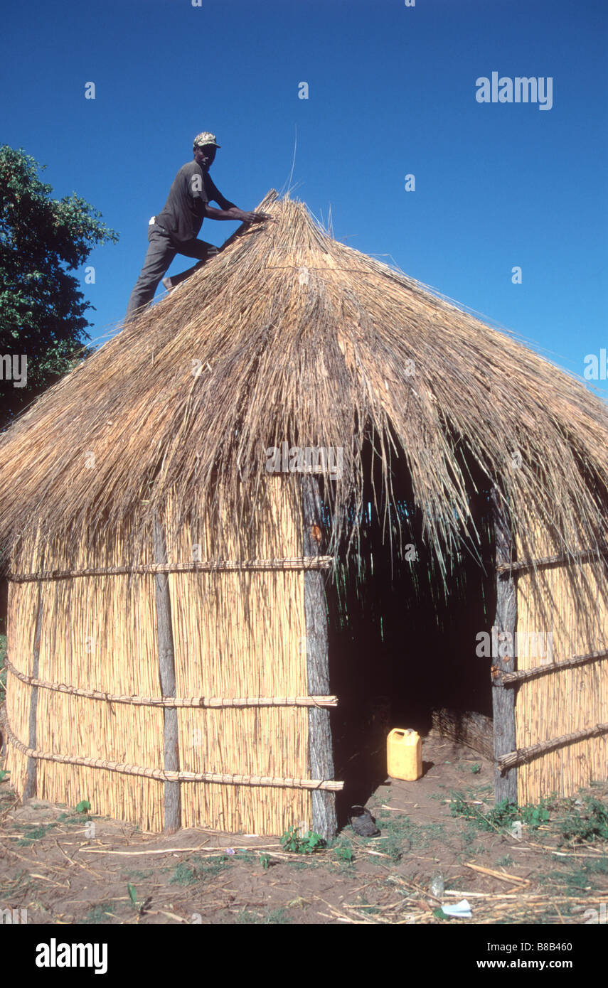 Aufbau einer traditionellen strohgedeckten Hütte Stockfoto