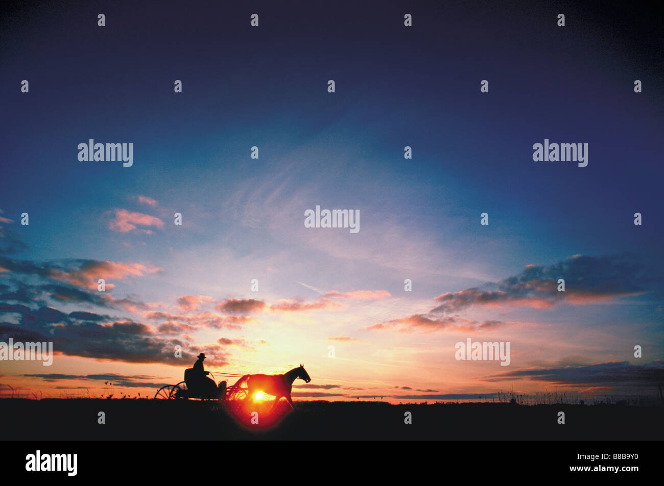 Mennonite Fahrer Buggy Sonnenuntergang, in der Nähe von Elmira, Ontario Stockfoto