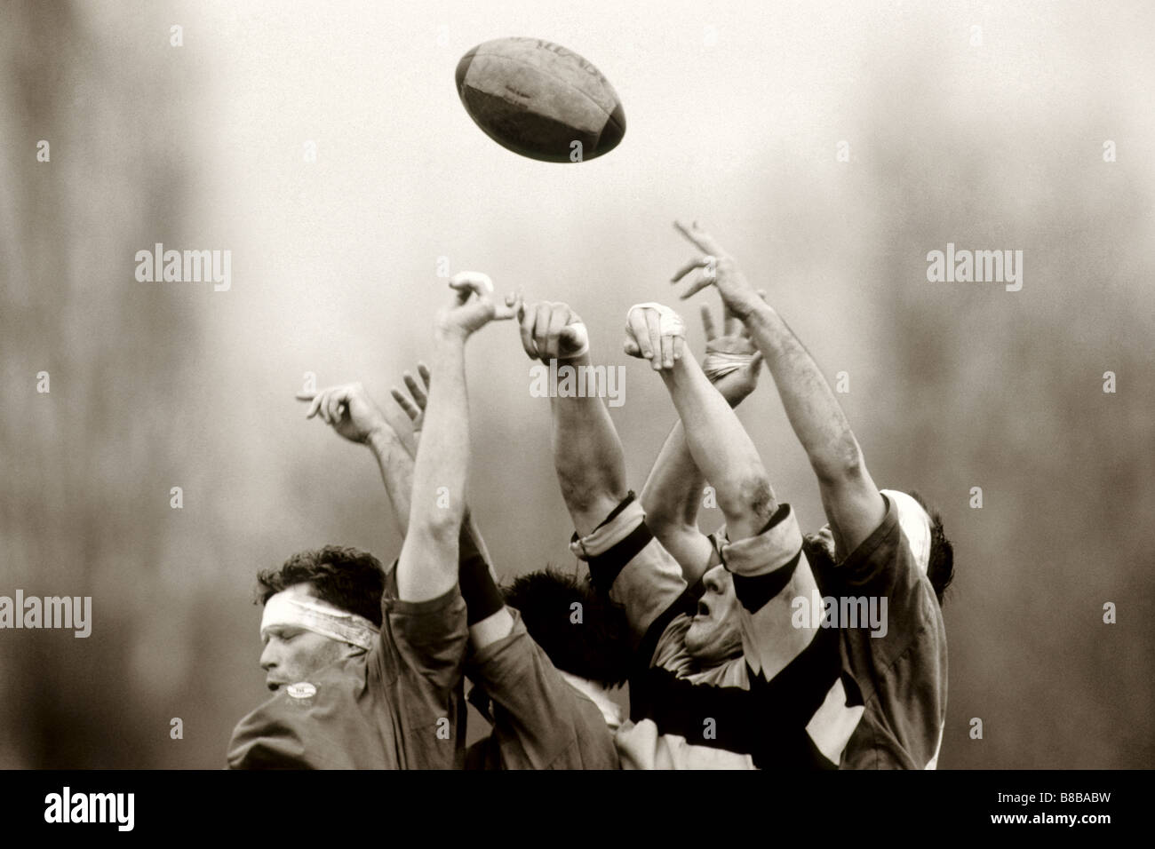 Rugby-Spieler in Aktion Stockfoto