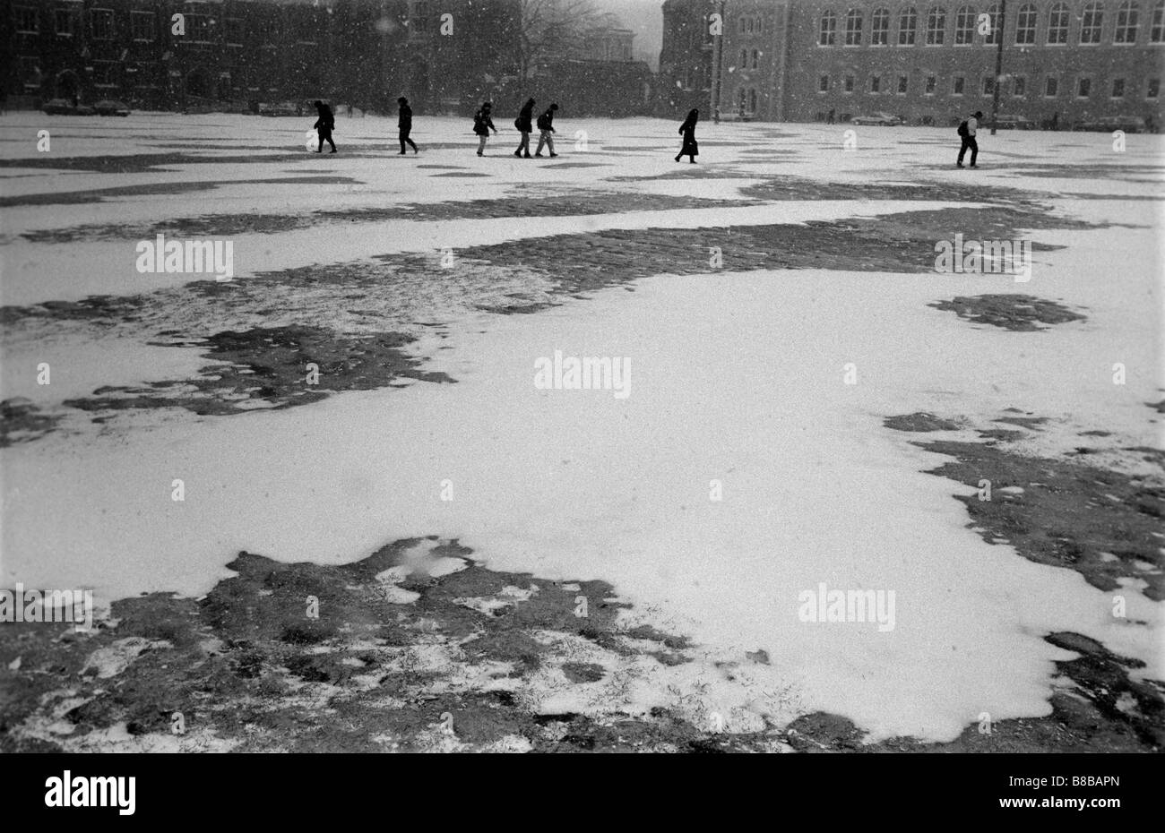 Menschen zu Fuß durch den Schnee Sturm, Campus der Universität Toronto, Toronto, Ontario Stockfoto