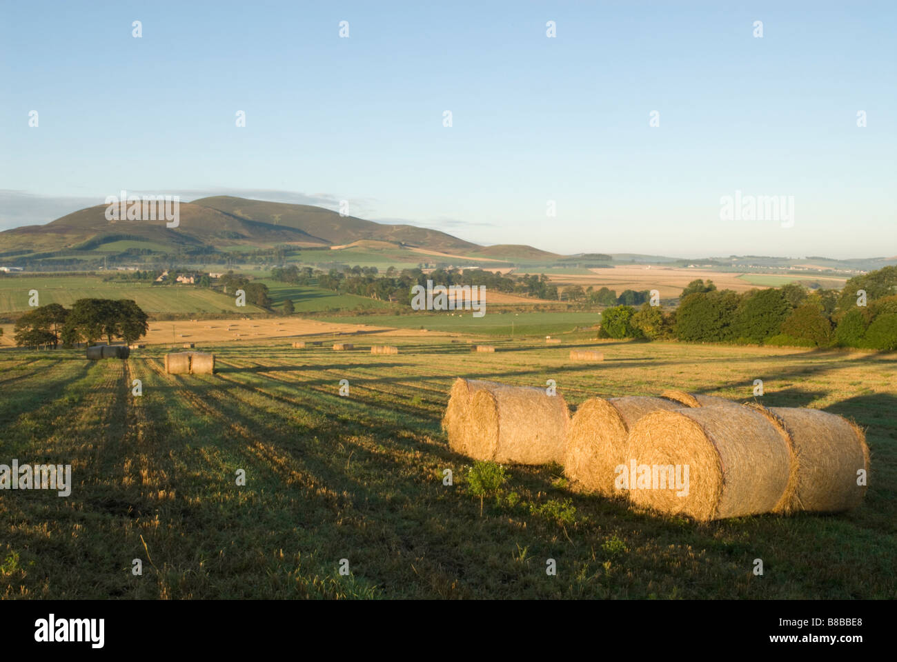 Stroh Ballen Stoppelfeldern und hügelige Ackerland mit Tinto Hill hinter South Lanarkshire Scotland Oktober Stockfoto