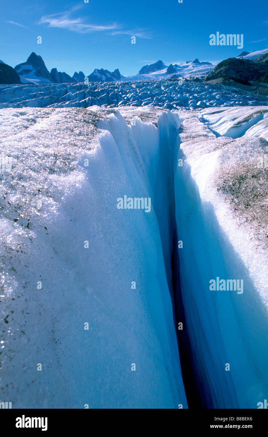 Tollot Gletscher, Mt Waddington, Britisch-Kolumbien Stockfoto