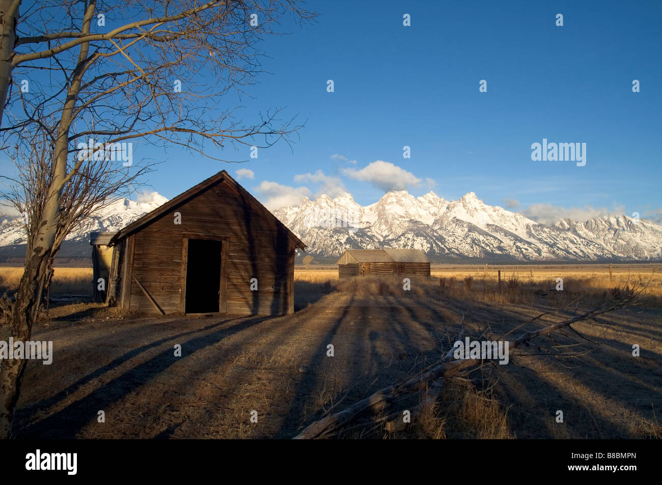 Scheunen in den Ausläufern der Teton Stockfoto