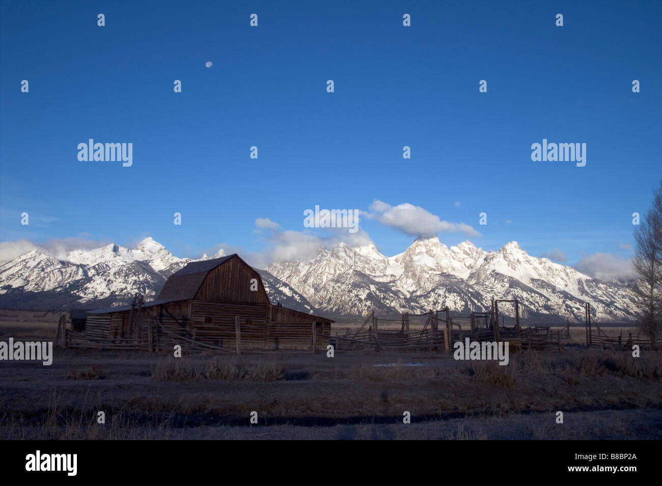 Scheunen in den Ausläufern der Teton Stockfoto