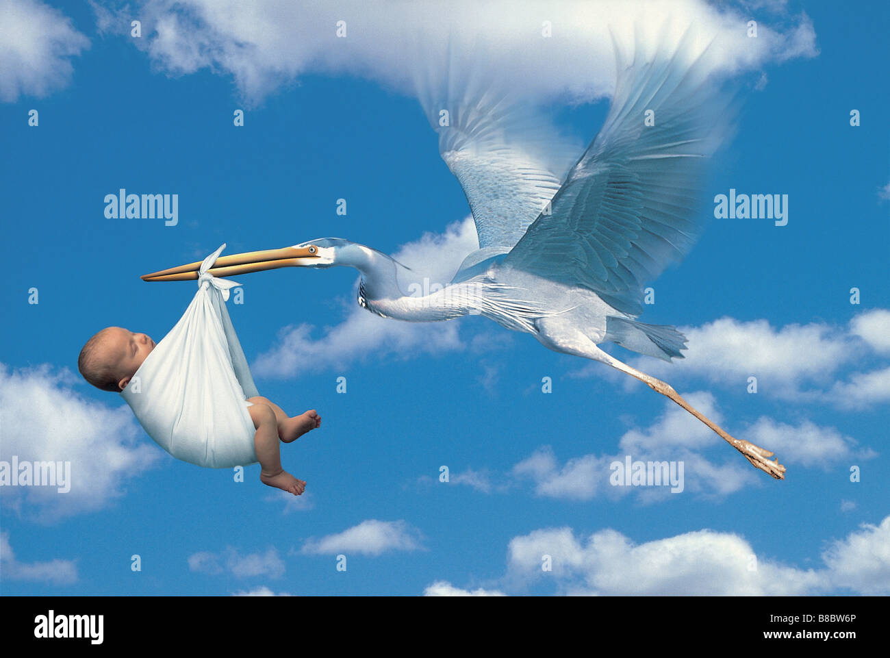 FL4844, Kitchin/Bonderud; Storch mit Baby durch Himmel fliegen Stockfoto