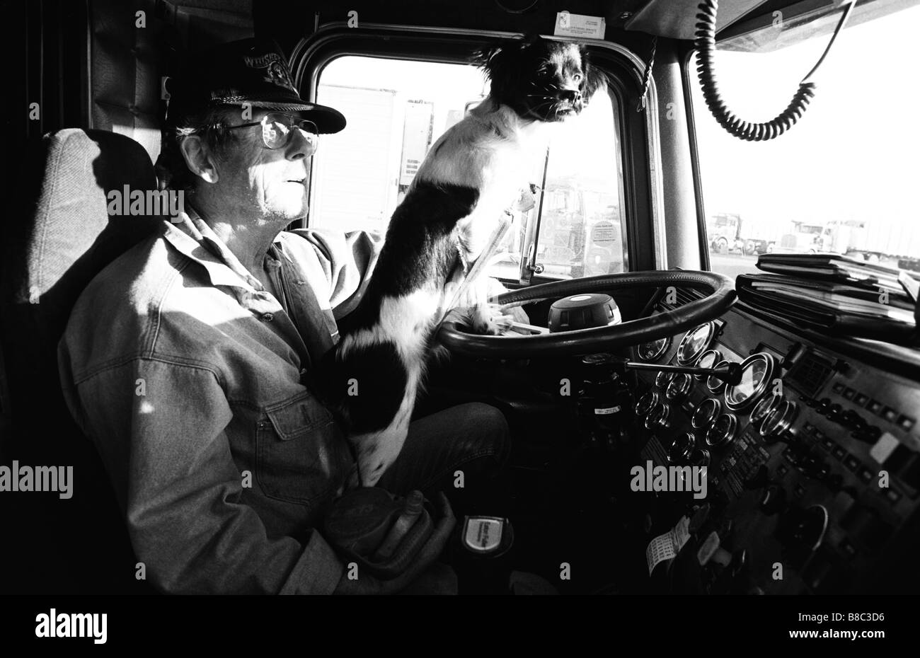 Mann Hund Cab LKW, s/w Stockfoto