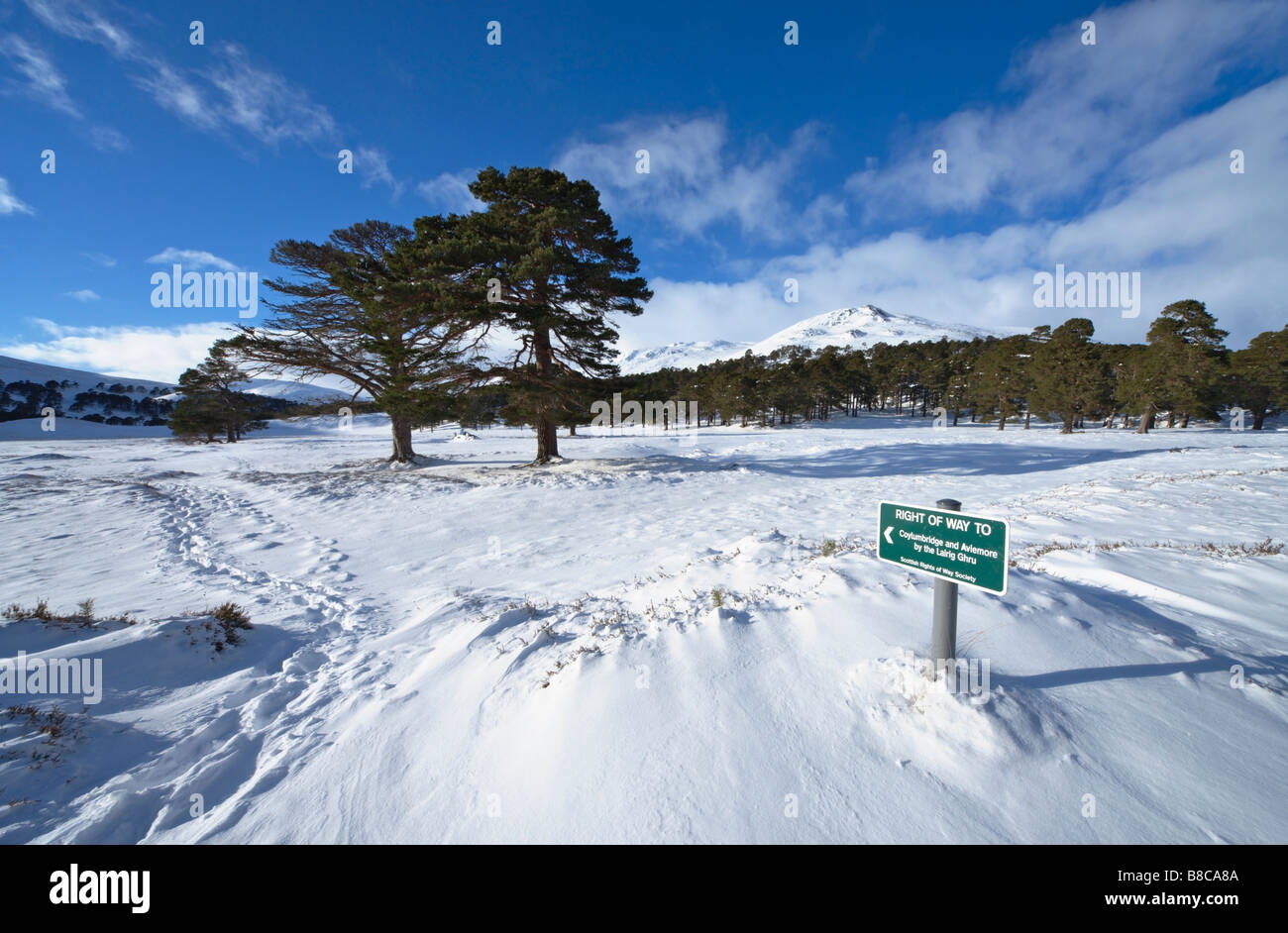 Schottische Wegerechte Gesellschaft Fußweg anmelden, Glen Luibeg, Cairngorms, Aberdeenshire, Schottland, Großbritannien. Stockfoto