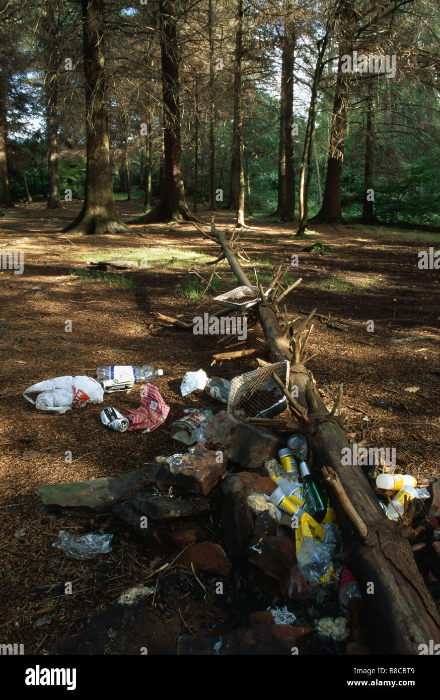 CAMPING-Abfall im Wald Stockfoto