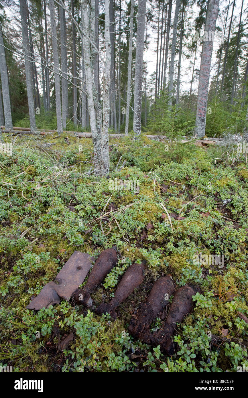 Nicht explodierten Minen im Wald Stockfoto