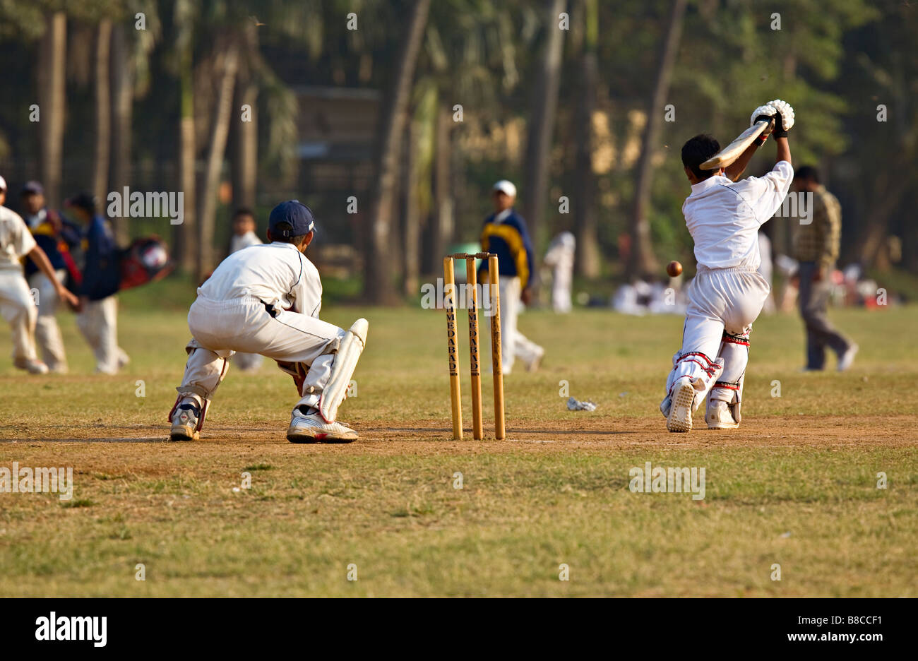 Ovale Maiden cricket Spiel, Mumbai, Indien, Asien Stockfoto