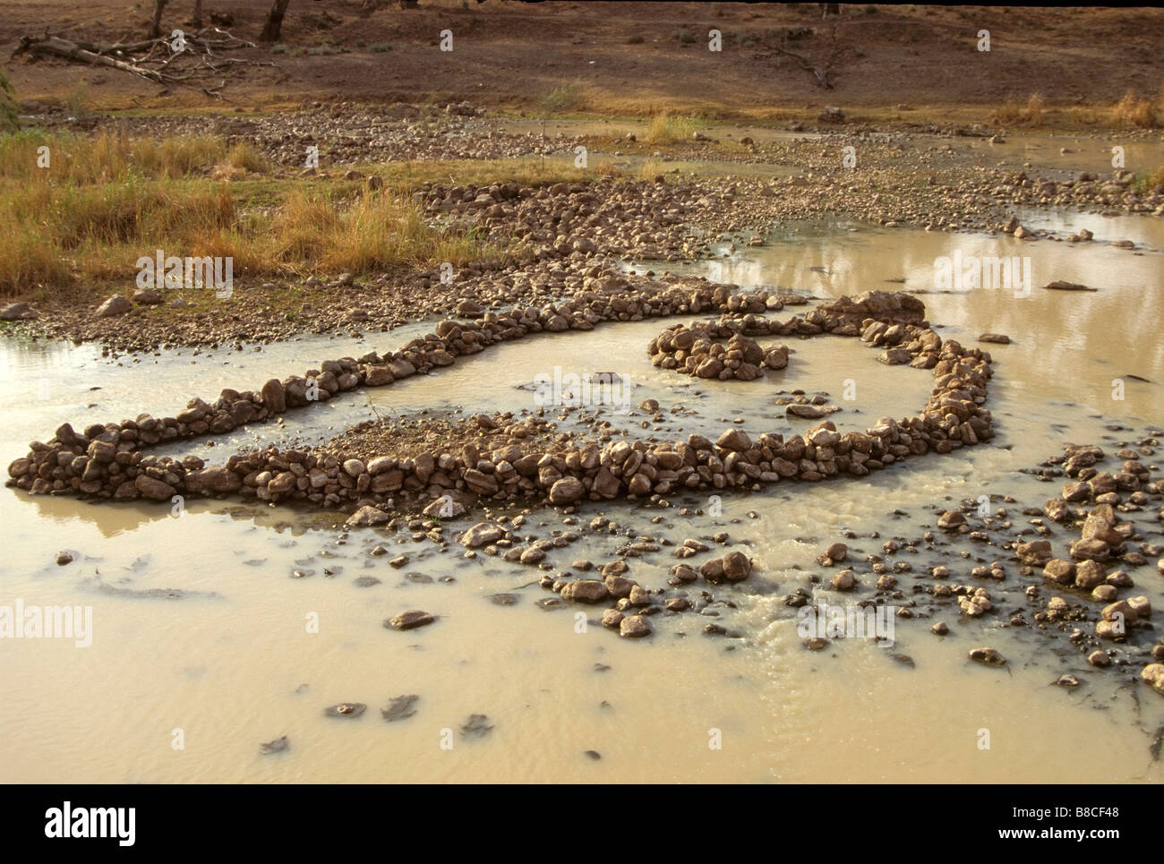 JAGD BUSHTUCKER Stockfoto