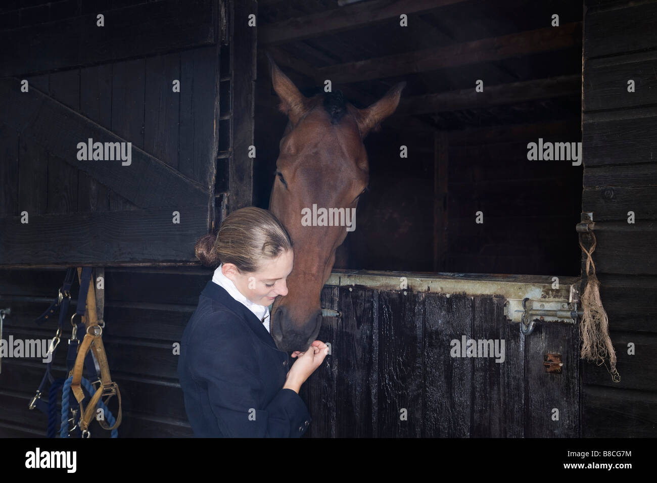 Weibliche Reiterin mit Pferd im Stall Stockfoto