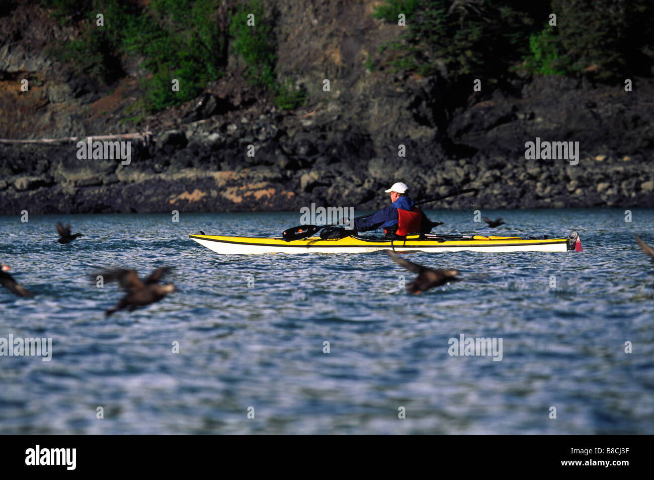 Kajak Verführung Punkt, Alaska Stockfoto