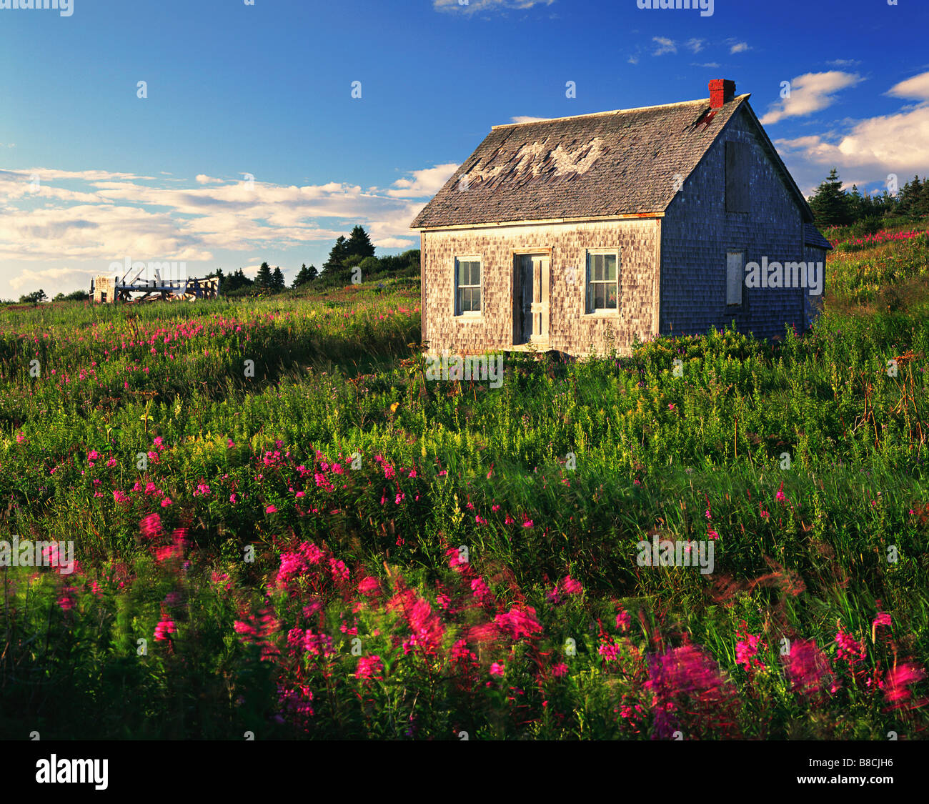 Altes Haus, Gaspesie Region Ile-Bonaventure-et-du Rocher-Perce National Park, Quebec Stockfoto