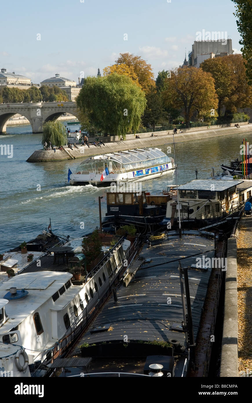 La Seine le Vert Galant ein Paris-Frankreich Stockfoto