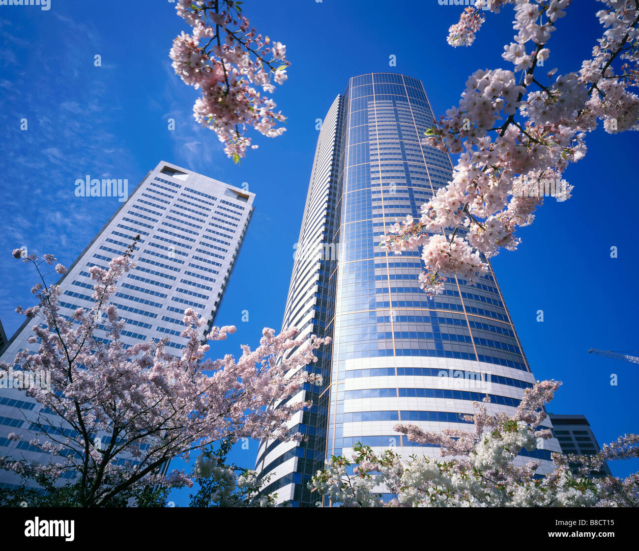 WASHINGTON - Union Square thront und Frühling blüht von Freeway Park auf der Interstate 5 in der Innenstadt von Seattle. Stockfoto