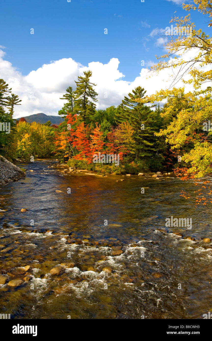 Herbst Laub Farbe in den Bäumen im Saco River in der Nähe von Conway New Hampshire USA Stockfoto