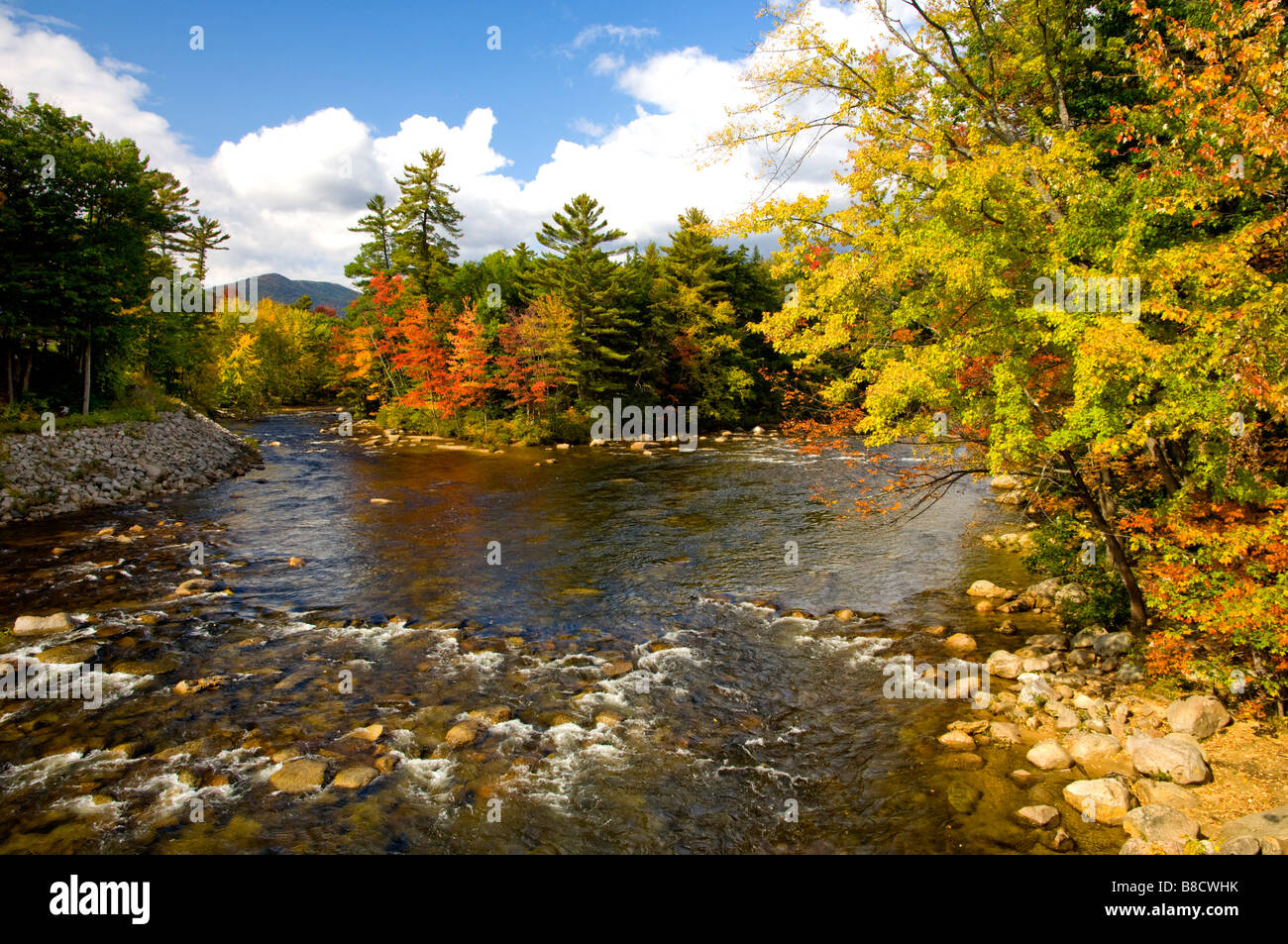Herbst Laub Farbe in den Bäumen im Saco River in der Nähe von Conway New Hampshire USA Stockfoto