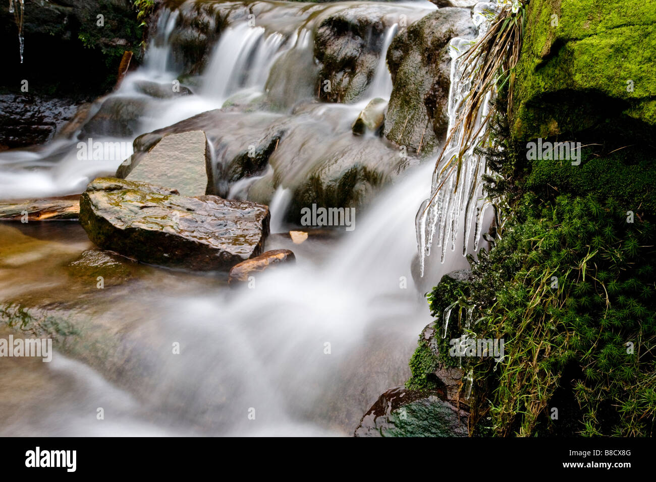 Gefrorener Wasserfall / stream im Peak District Stockfoto