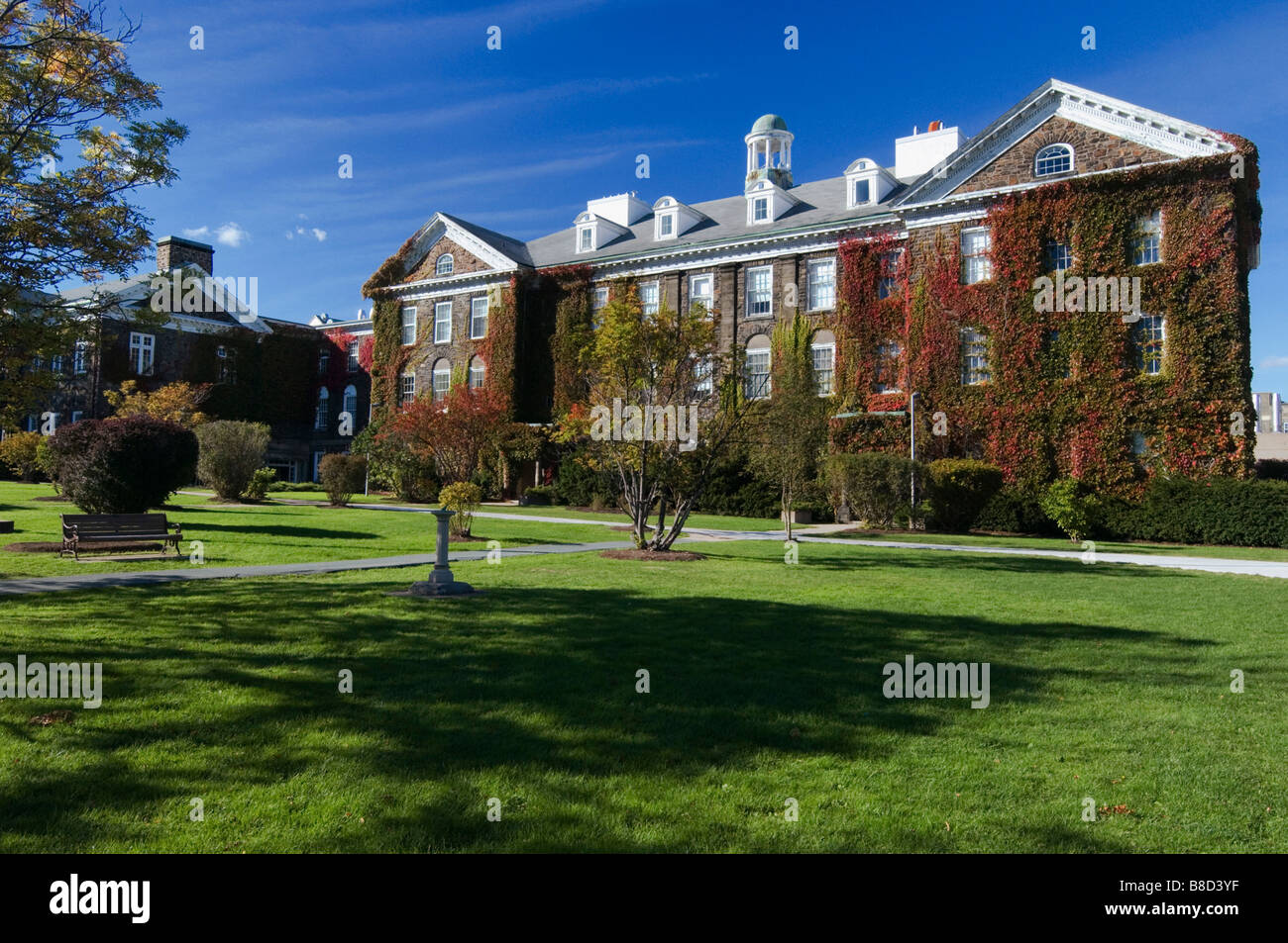 Dalhousie University, Halifax, Neuschottland (Nova Scotia) Stockfoto