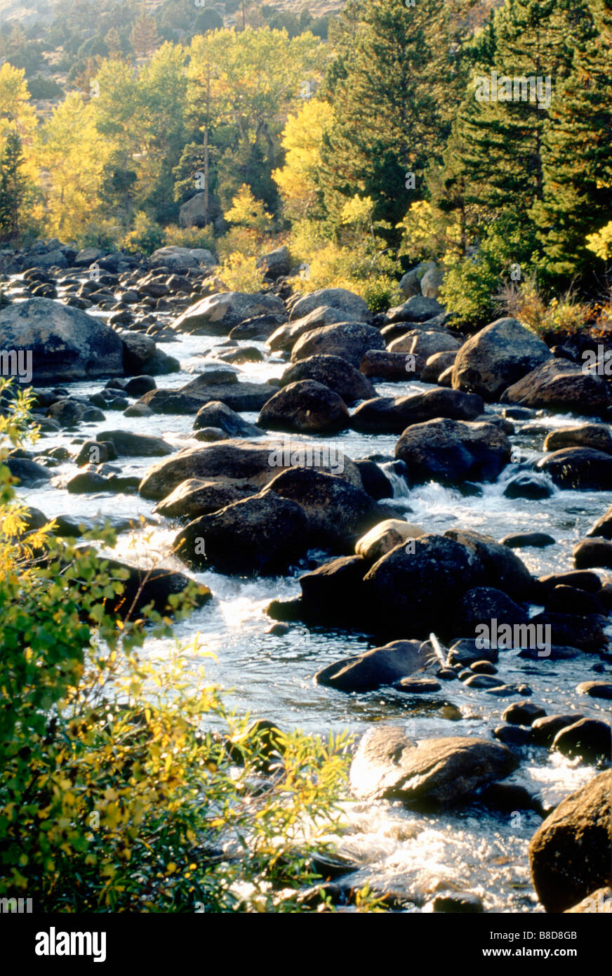 Waschbecken Canyon State Park, Wyoming Stockfoto