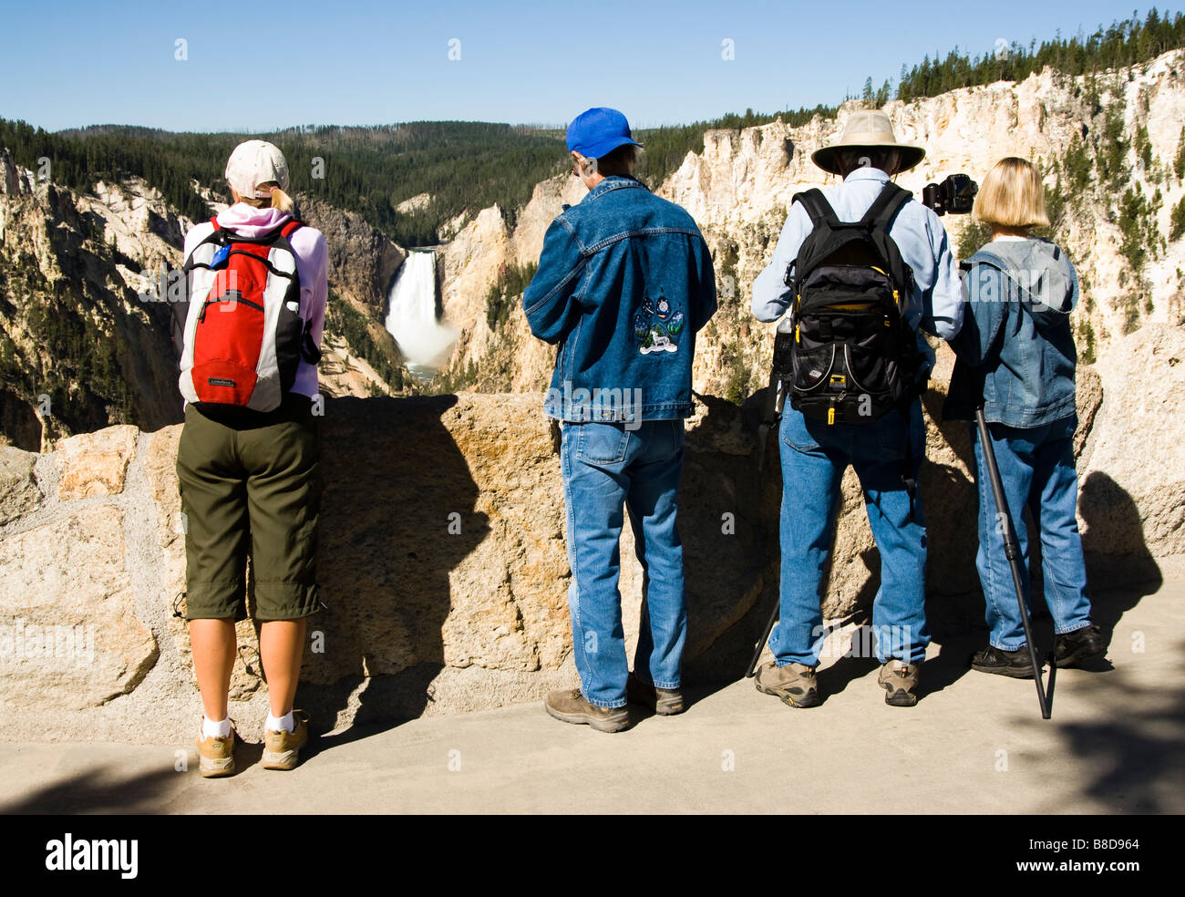 Touristen fotografieren den oberen fällt am Yellowstone River im Yellowstone-Nationalpark Stockfoto