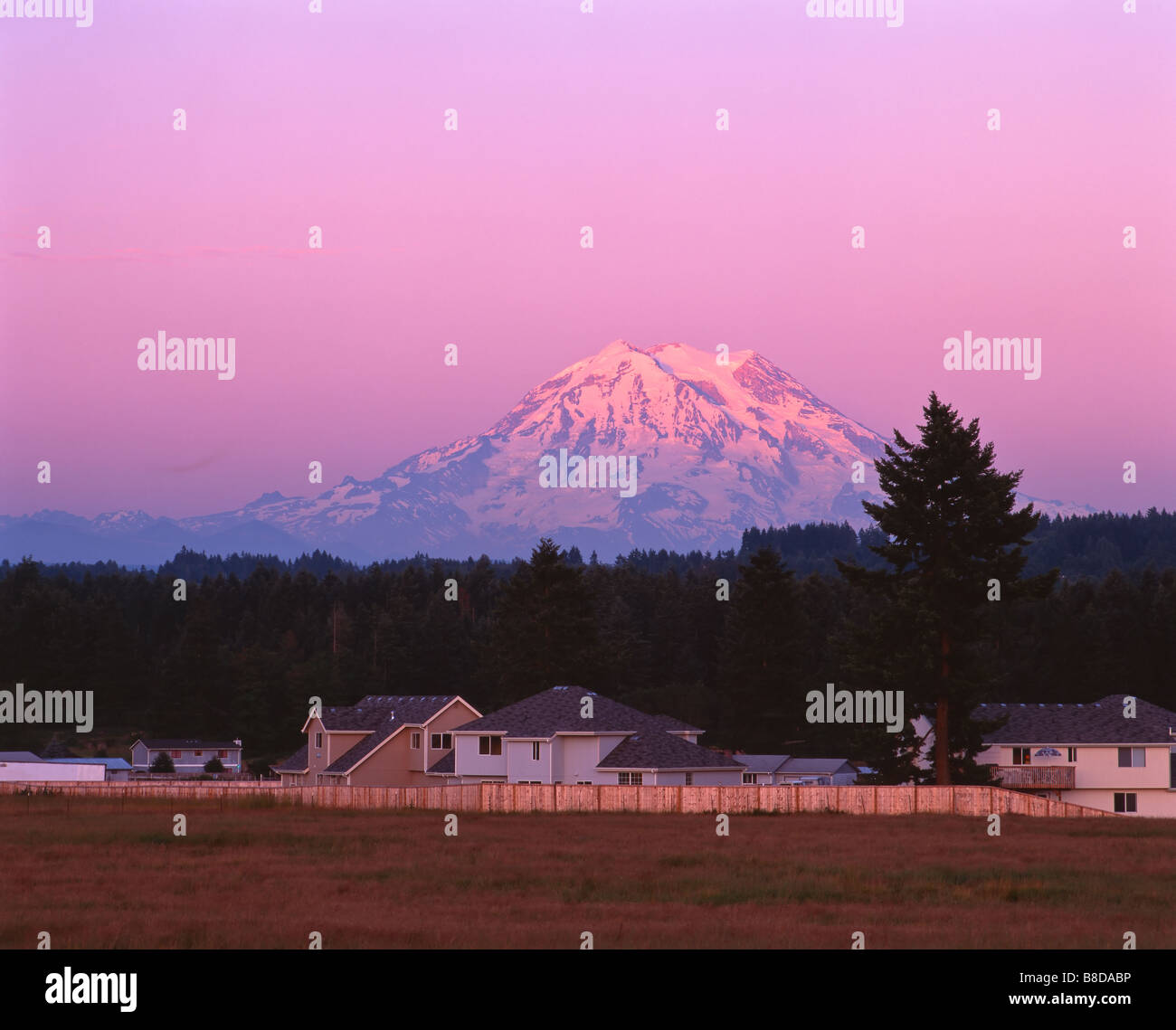 Bild von rosa Farben rund um Mount Rainier in Washington, USA einige Häuser und Ackerland in den Vordergrund. Stockfoto