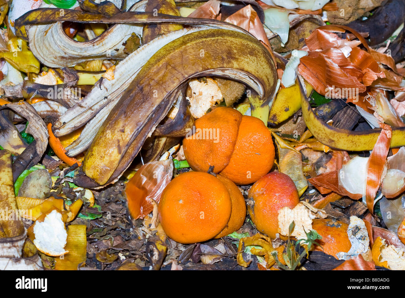 Nahaufnahme von verschiedenen Arten von pflanzlichen Abfall Stockfoto