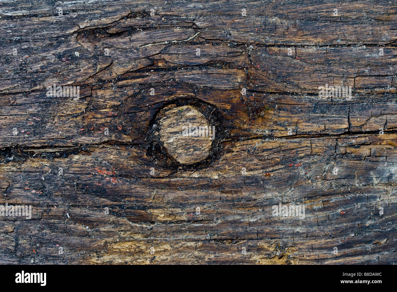 Nahaufnahme eines alte Holzstruktur Grunge Hintergrund Stockfoto