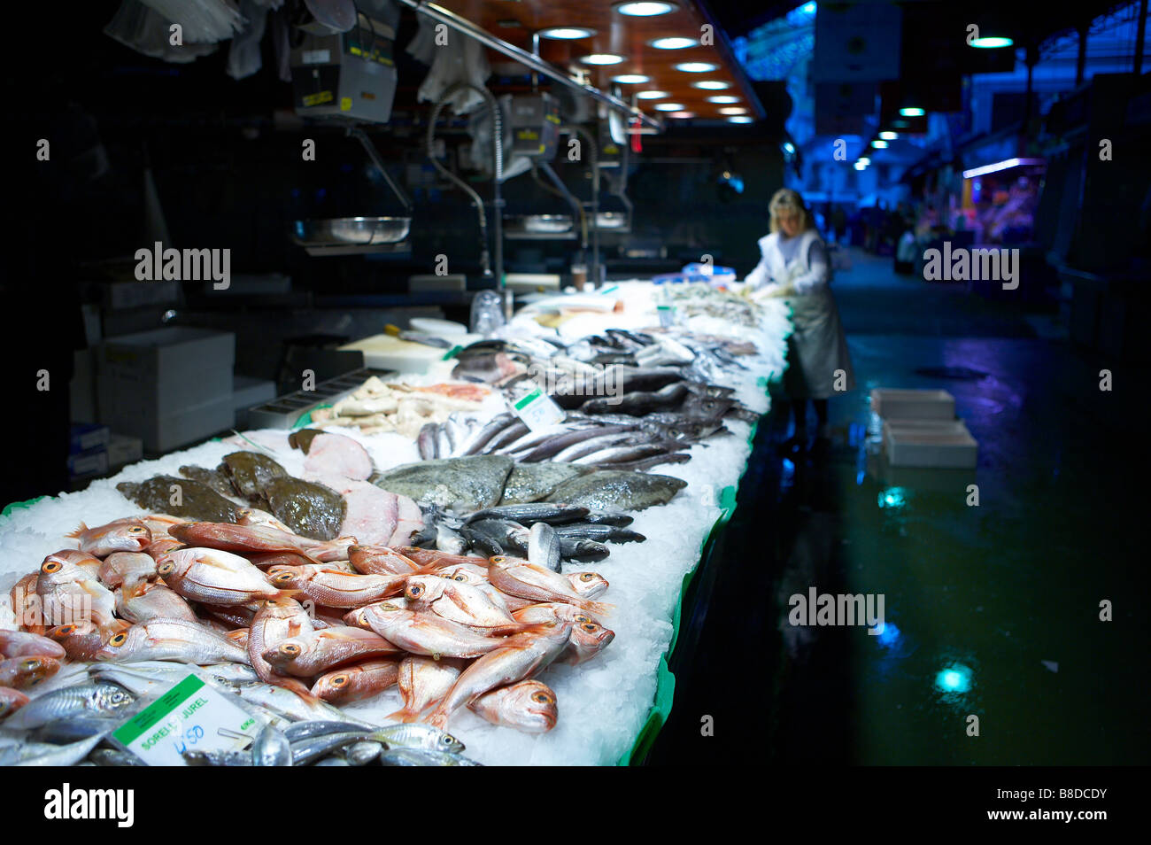 Fisch und Meeresfrüchte gelegt unsere zum Verkauf in der Morgendämmerung an La Boqueria-Markt auf der La Rambla, Barcelona, Spanien Stockfoto