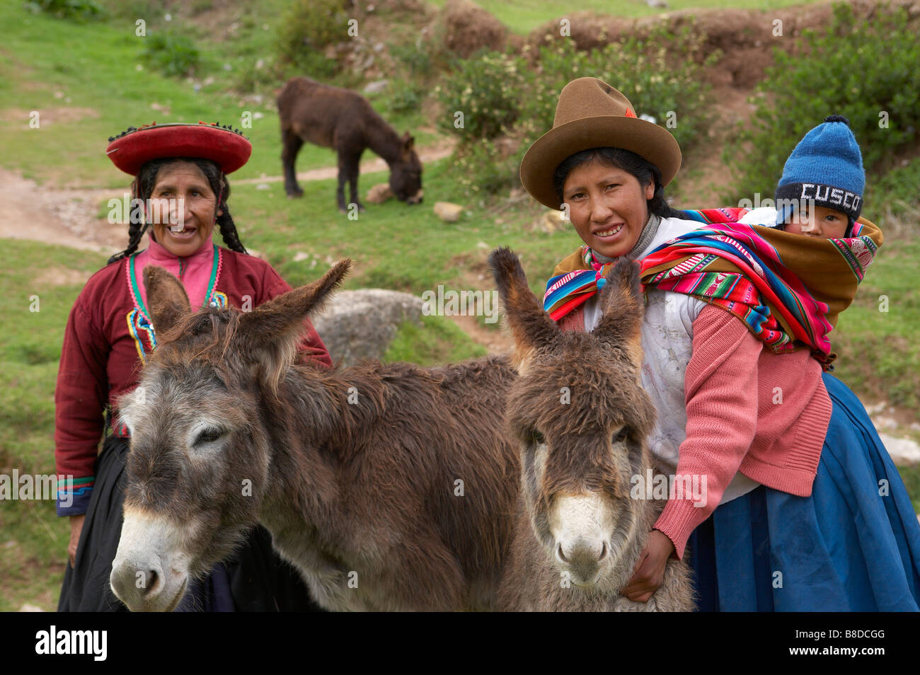 Frauen & Kind mit Eseln, nr Cusco, Peru Stockfoto