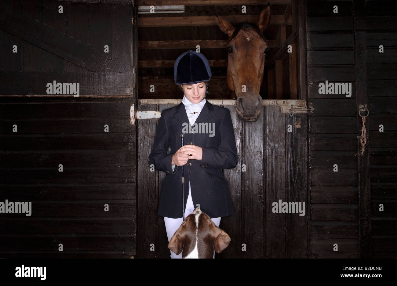 Reiter mit Hund und Pferd im Stall Stockfoto