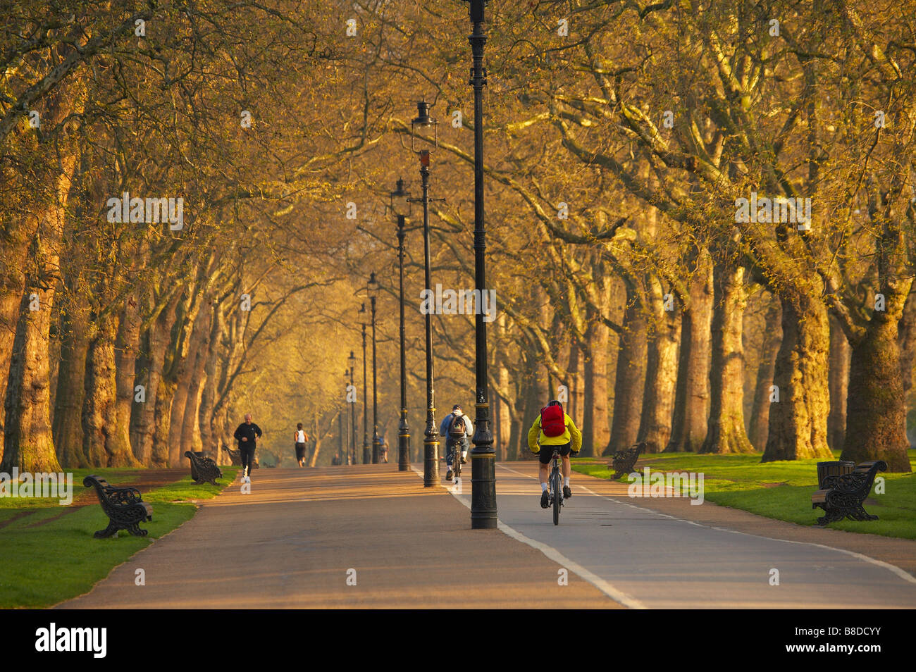 Jogger und Radfahrer im Hyde Park, am frühen Morgen, London, England, UK. (NR) Stockfoto