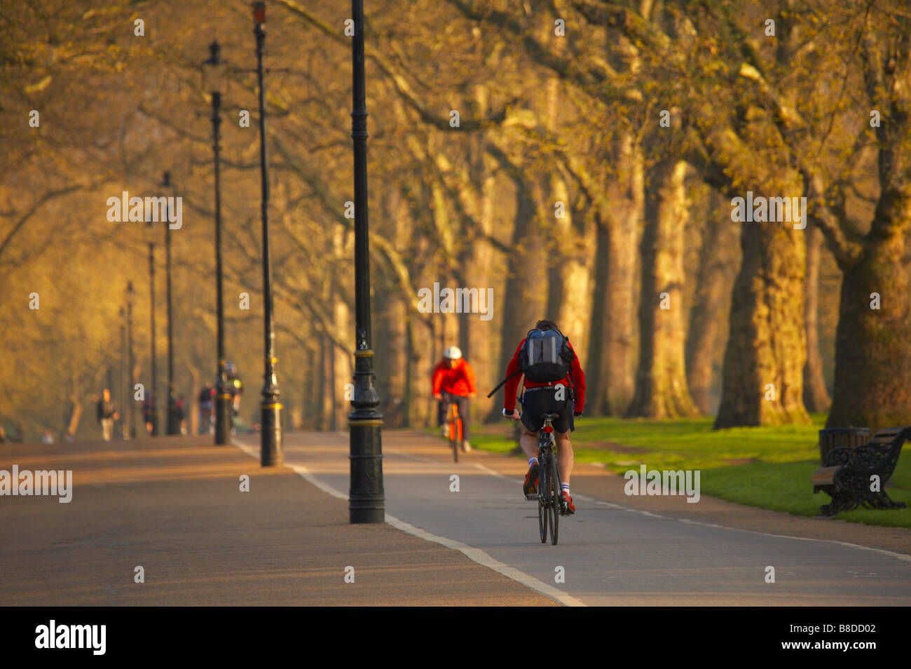 Radfahrer im Hyde Park, am frühen Morgen, London, England, UK. (NR) Stockfoto