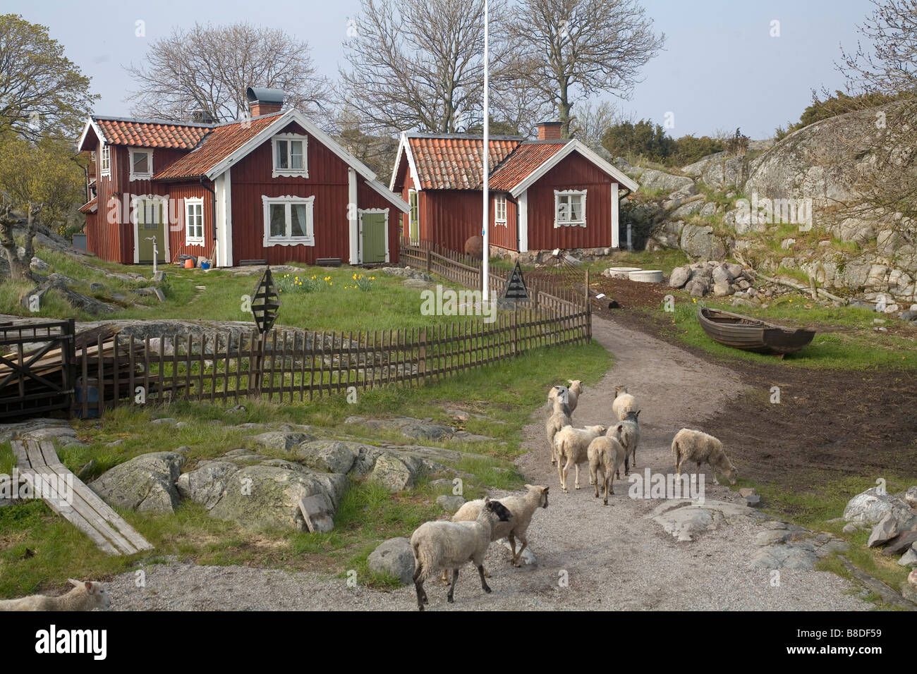 Amerikanische Touristen auf Bullero Island im schwedischen Schären Schweden Ostsee Stockfoto