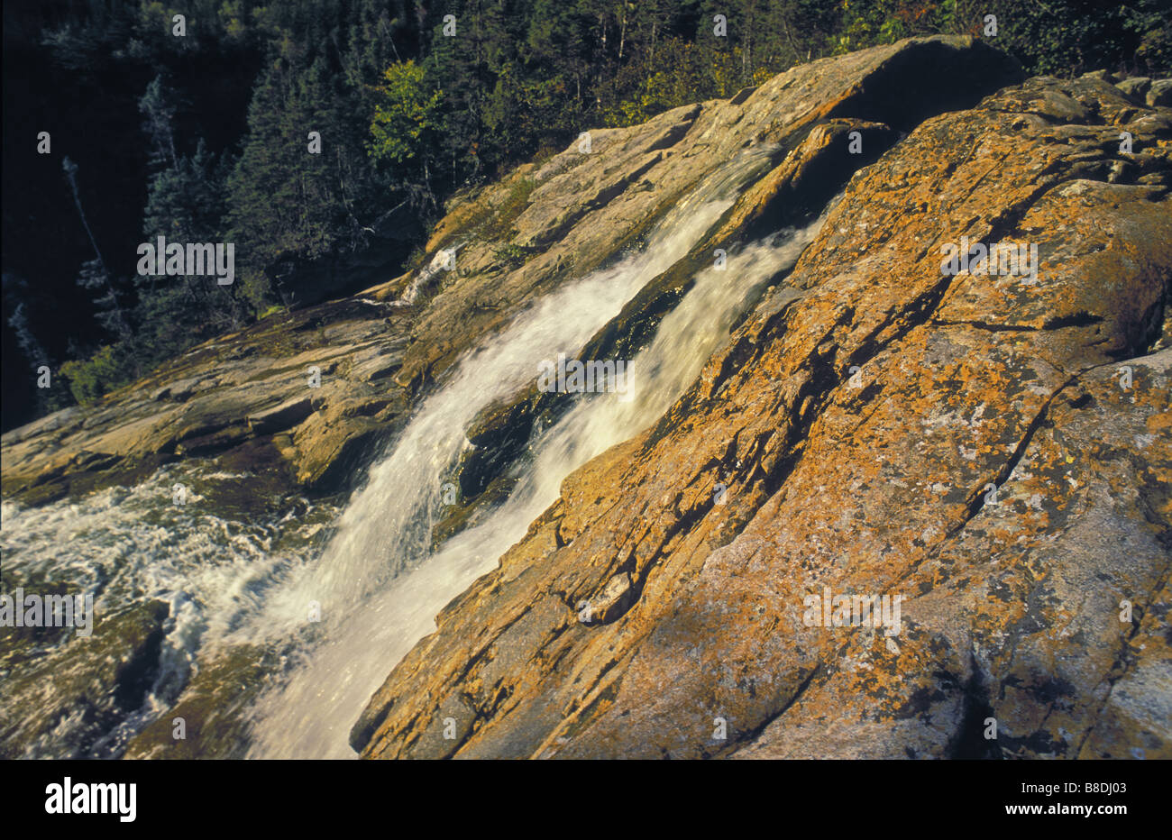 Südosten Brook Falls, Balsam-Tanne, weiße Fichte, weiße Birke im Herbst, Gros Morne National Park, Neufundland Stockfoto