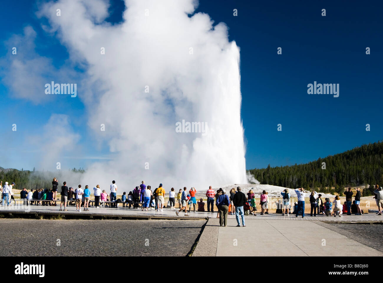 Touristen, die beobachten, wie alte Fathful Geysir bricht im Yellowstone National Park Stockfoto