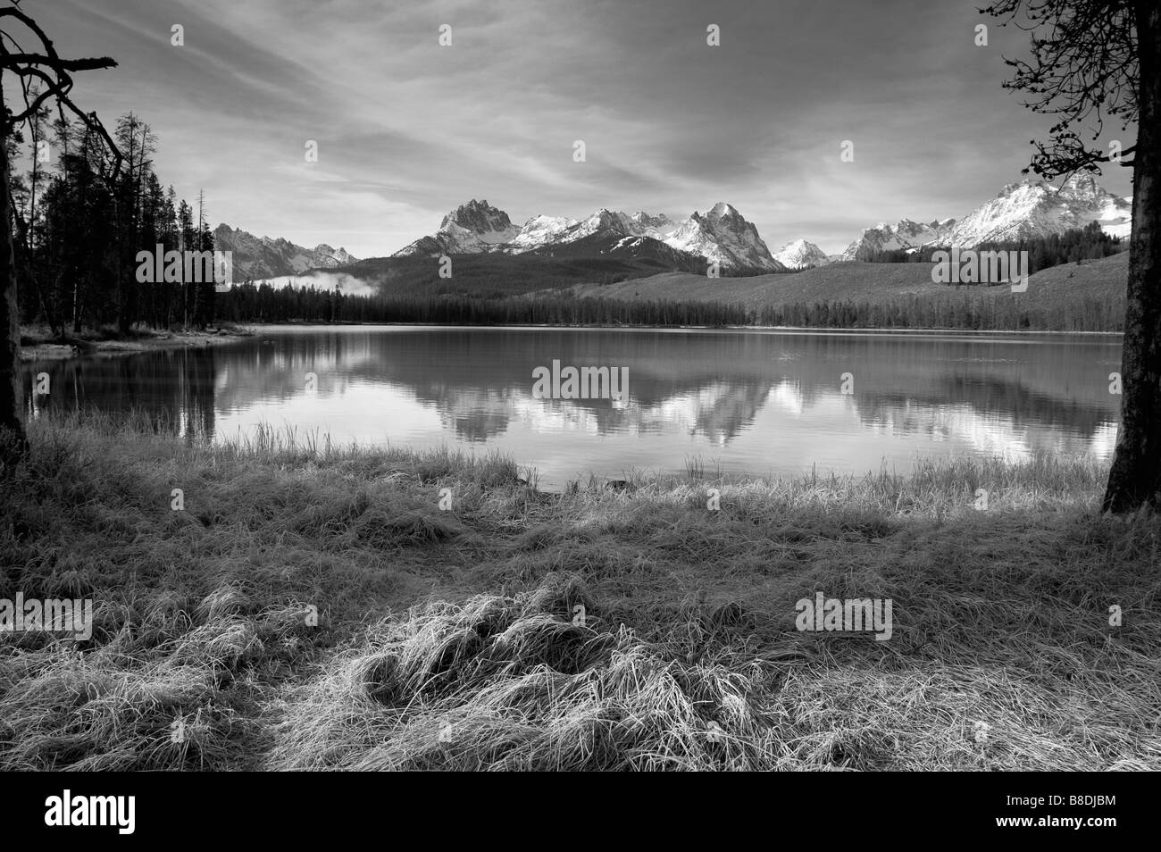 Prairie Grass Rotbarsch See Sawtooth Mountains Stockfoto