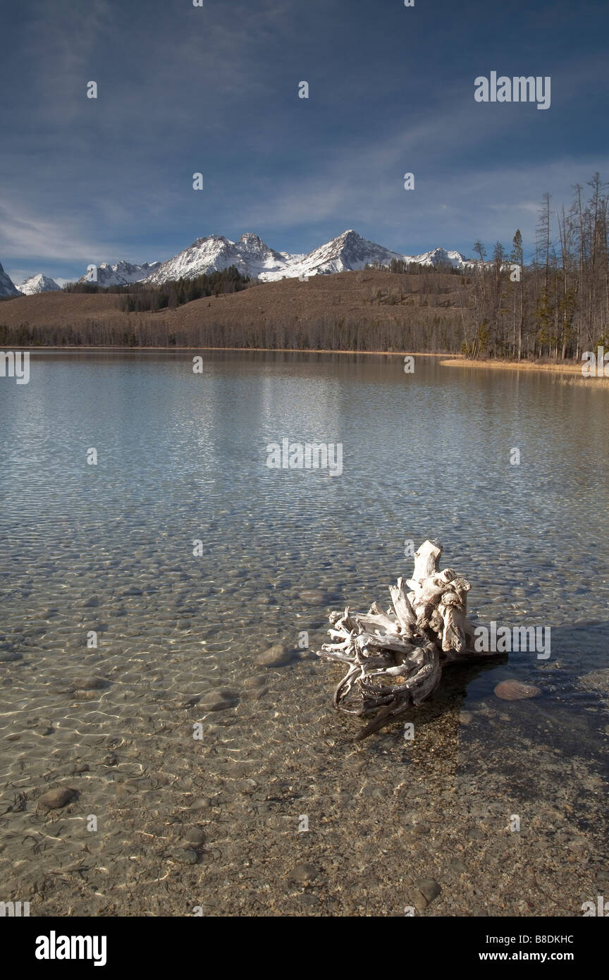 Stumpf und Reflexion Rotbarsch See Sawtooth Mountains Idaho Seen Nordamerika Vereinigte Staaten von Amerika Stockfoto