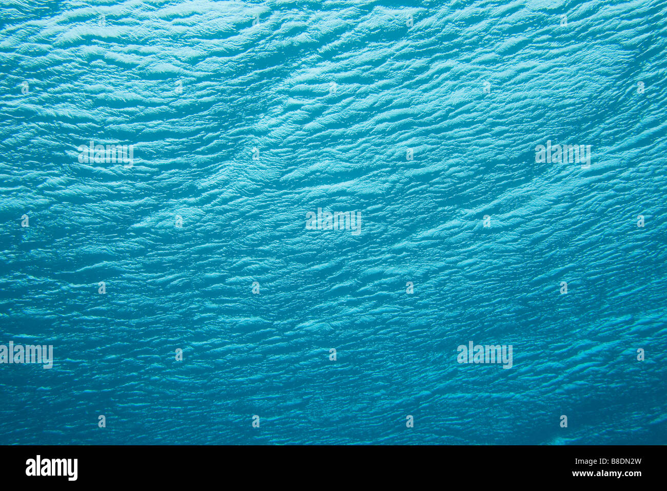 Meer bei Similan Islands national marine park Stockfoto