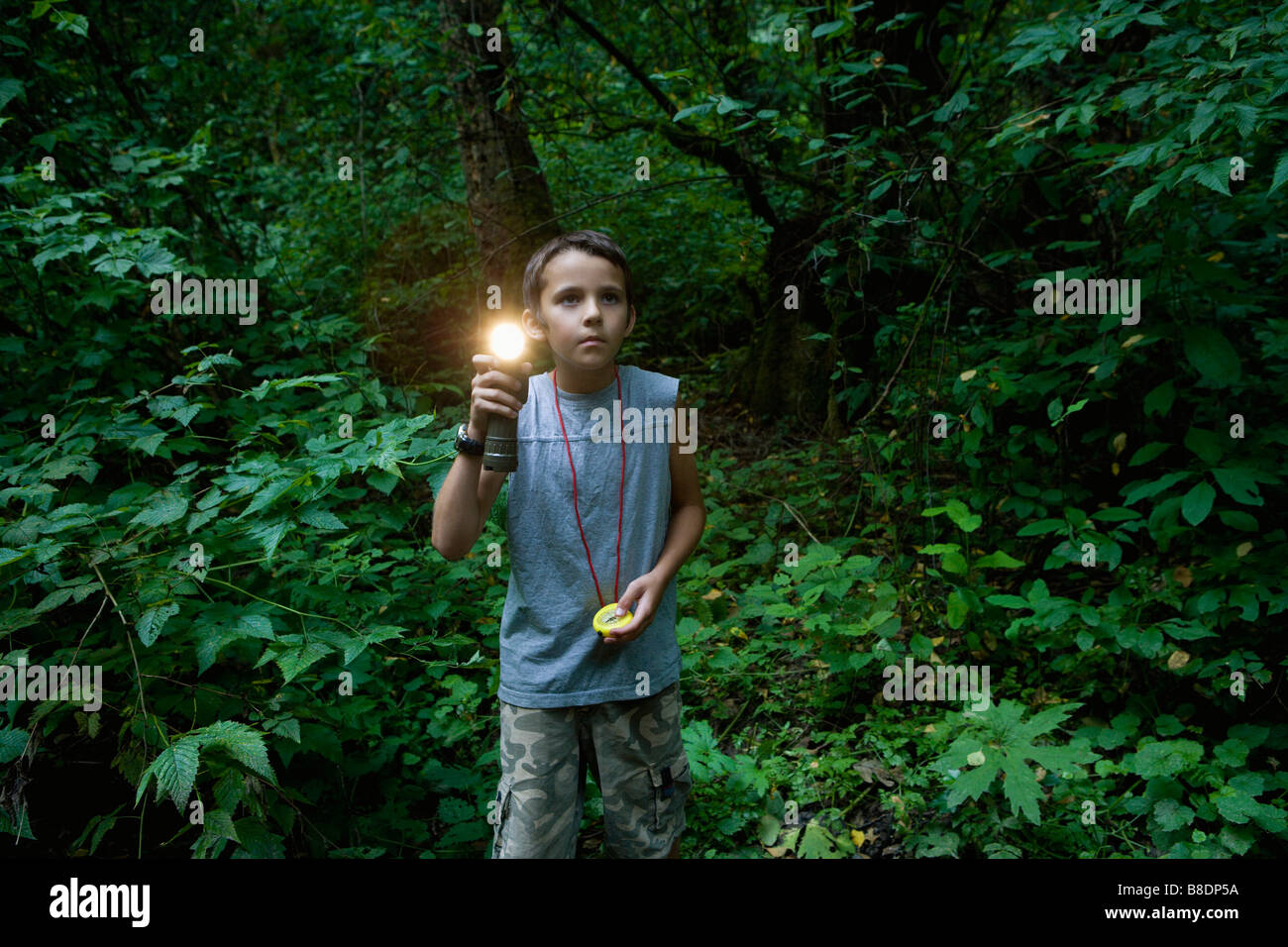 Junge mit Taschenlampe im Wald Stockfoto