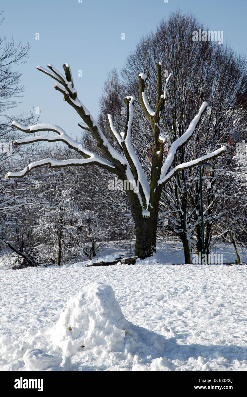 Schöne Schnee-Landschaft nahe dem Gipfel des Hilly Fields Park, Lewisham, während der Schnee-Event in London Stockfoto