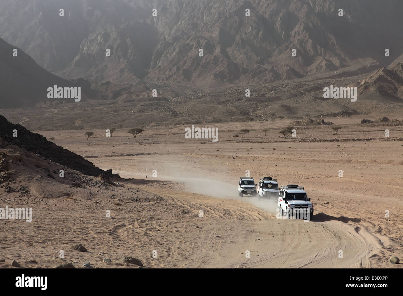 Jeeps fahren in der Wüste Sinai, Ägypten Stockfoto