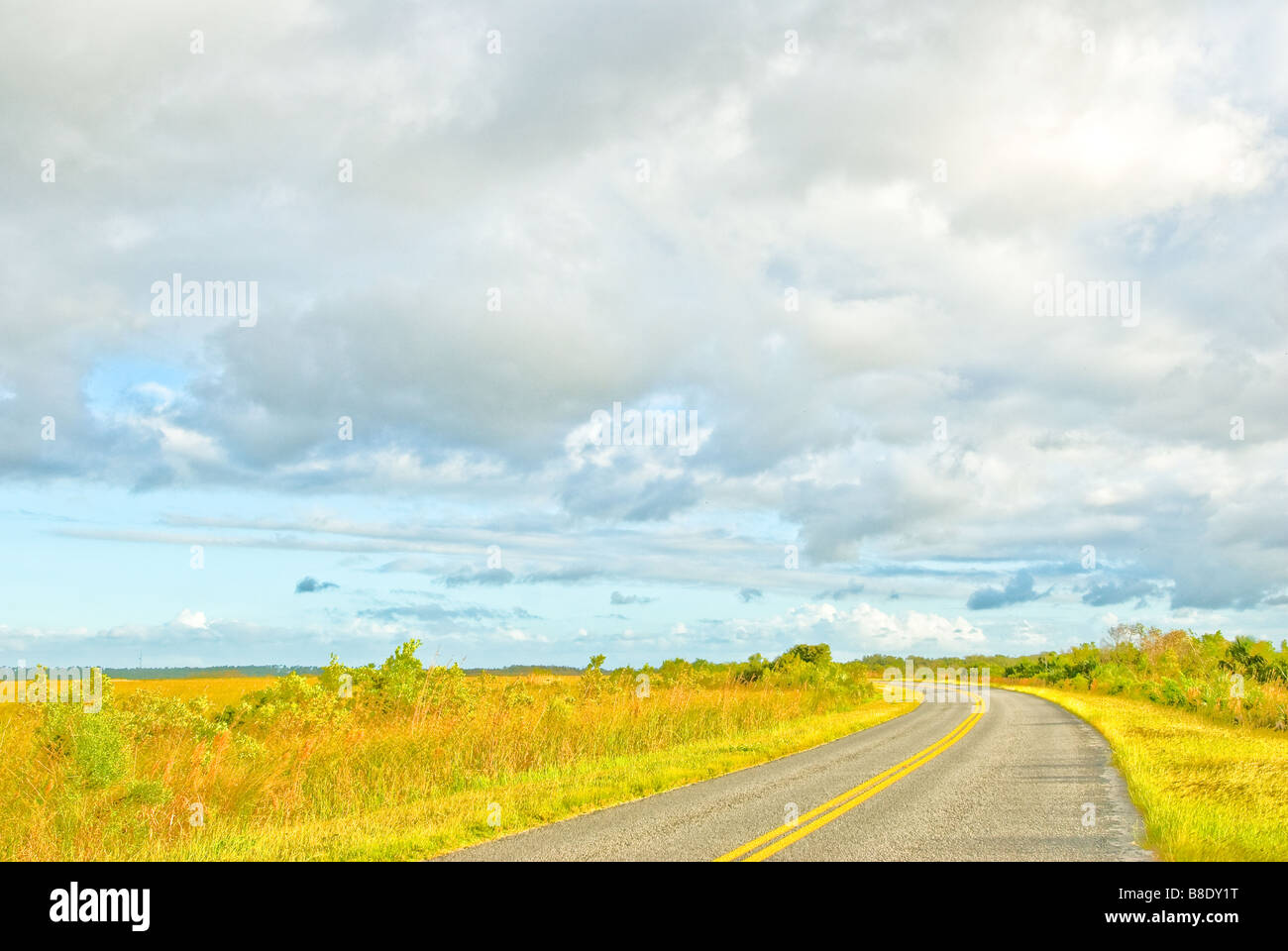 Everglades National Park Main Park Road nach Flamingo am Gehöft Abschnitt Eingang Stockfoto