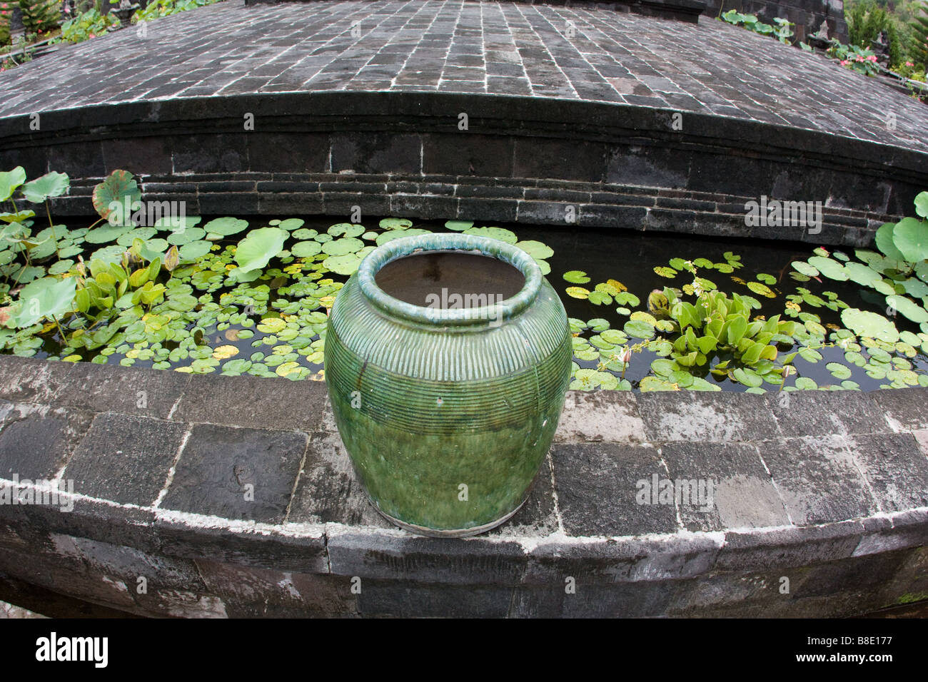 Seerosenteich in Bali, Indonesien Stockfoto